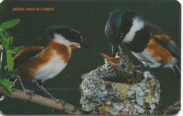 Bosnia Chip Card Birds Oiseaux Oiseau - Bosnië