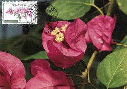 1959 - FLOWER - BUGAINVILLEA - Covers & Documents