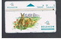 BELGIO (BELGIUM) -  1994  ANIMALS:  RABBITS   - USED - RIF. 10828 - Conigli