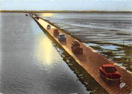 85-ILE DE NOIRMOUTIER- LE PASSAGE DU GOIS AU SOLEIL COUCHANT - Ile De Noirmoutier