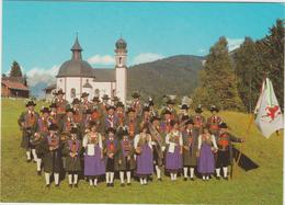 * DAMBACH-LA-VILLE Groupe Folklorique Des Joyeux Vignerons - Dambach-la-ville