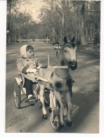 No CPA Photo D'un Enfant Sur Cheval De Bois Attelé Sulky Dans Un Parc Mars 1958 - Games & Toys