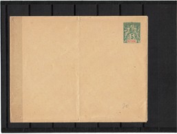 CTN27COL- GUYANE FRANCAISE ENV 5c  152x117mm  NEUVE  PLI - Other & Unclassified