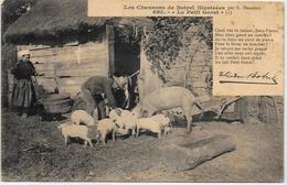 CPA Région Bretagne BOTREL Cochon Pig Non Circulé - Bretagne