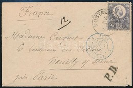 1874 Réznyomat 25kr Levélen Franciaországba / Mi 13 On Cover To France 'KOSTAINICA' - Altri & Non Classificati