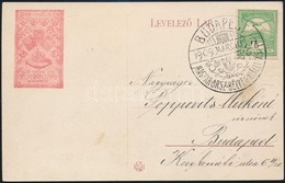 1909 MAGYAR ORSZ. BÉLYEGKIÁLLÍTÁS Képeslap Alkalmi Bélyegzéssel  / Postcard With Stamp Exposition Special Cancellation - Sonstige & Ohne Zuordnung