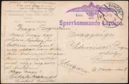 1914 Tábori Posta Képeslap / Field Postcard 'Kais. Und Königl. Sperrkommando Lardaro' - Altri & Non Classificati