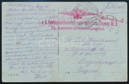 1914 Képeslap Teodoból / Postcard From Teodo 'K.u.K. Festungsartillerieregiment Freiherr Von Rouvroy Nr. 5 II. Landsturm - Sonstige & Ohne Zuordnung