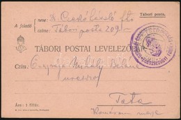 1915 Tábori Posta Levelez?lap / Field Postcard 'Szurmay Csoport Parancsnokság Egészségügyi F?nök' + 'FP 209' - Sonstige & Ohne Zuordnung