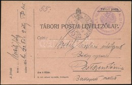 1916 Tábori Posta Levelez?lap A 32. Gyaloghadosztály Történetével / Field Postcard 'K.u.k. FELDKANONENREGIMENT No.32.' - Altri & Non Classificati