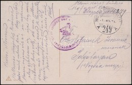 1917 Tábori Posta Képeslap / Field Postcard 'LANDWIRTSCHAF... GRUPPE...' + 'HP 249 A' - Andere & Zonder Classificatie