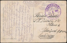 1915 Képeslap Haditengerészeti Postával / Navy Mail Postcard   'ZENSURIERT / Erzh. Karl' + 'MFP  POLA' - Sonstige & Ohne Zuordnung