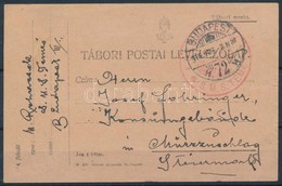 1916 Tábori Posta Levelez?lap / Field Postcard, Piros/red 'K.u.K. KRIEGSMARINE S.M.S. TEMES' - Altri & Non Classificati