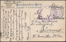 1916 Tábori Posta Képeslap / Field Postcard 'Gericht Des K.u.k. Hafenadmiralats Und Kriegshafenkommandos In Pola' + 'MFP - Altri & Non Classificati