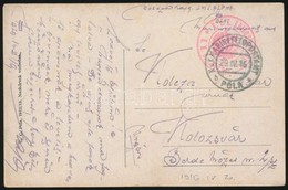 1916 Tábori Posta Képeslap Hajópostával / Field Postcard 'S.M.S. ALPHA' - Altri & Non Classificati