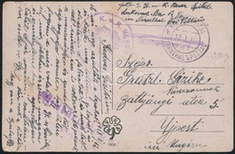 1917 Tábori Posta Képeslap / Field Postcard 'K.u.k. RESERVE(SPITAL)' + 'KRIEGSPITAL STERNTHAL B. PETTAU B' - Other & Unclassified
