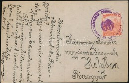 1919 Helyi Képeslap / Local Postcard 'PÉCSI POSTA ÉS TÁVIRDA IGAZGATÓSÁG' - Other & Unclassified