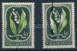 ** 1951 Virág 40f Elcsúszott Zöld Színnel / Mi 1209 With Shifted Green Colour - Altri & Non Classificati