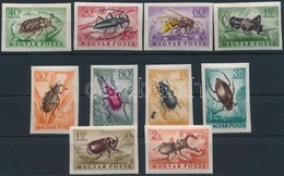 ** 1954 Rovarok Vágott Sor (20.000) / Mi 1354-1363 Imperforate Set - Altri & Non Classificati