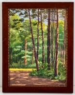 Cholnoky Jen? (1870-1950): Erd? Részlet. Akvarell, Papír, Jelzett, üvegezett Keretben, 33×25 Cm - Sonstige & Ohne Zuordnung