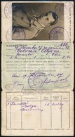 1929 Vác, Fényképes Vadászjegy Tanuló Részére / Hunting Licence - Unclassified