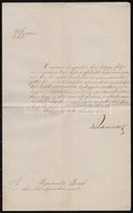 1874 Pauler Tivadar Igazságügyminiszter Aláírása Kinevezésen - Altri & Non Classificati
