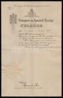 1896 Erdély Sánor Igazságügyminiszter Aláírása Bírói Kinevezésen - Altri & Non Classificati