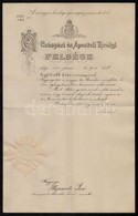 1896 Erdély Sánor Igazságügyminiszter Aláírása Bírói Kinevezésen - Other & Unclassified