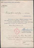 1919 Haubrich Béla Hadügyi Népbiztos Aláírása Kinevezésen - Altri & Non Classificati