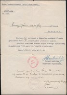 1919 Haubrich Béla Hadügyi Népbiztos Aláírása Kinevezésen - Other & Unclassified