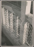 Cca 1934 Kinszki Imre (1901-1945) Budapesti Fotóm?vész Pecséttel Jelzett Vintage Alkotása, 16x11,5 Cm - Altri & Non Classificati