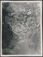 Cca 1933 Kinszki Imre (1901-1945): Water, Aláírt és Pecséttel Jelzett Vintage Fotóm?vészeti Alkotás, 16,2x12,2 Cm - Altri & Non Classificati