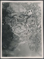 Cca 1933 Kinszki Imre (1901-1945): Water, Aláírt és Pecséttel Jelzett Vintage Fotóm?vészeti Alkotás, 16,2x12,2 Cm - Sonstige & Ohne Zuordnung