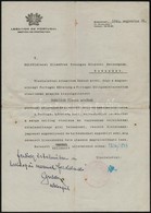 1944 Bp., A Portugál Nagykövetség által Zsidó Személy Számára Kiállított Kollektív útlevél / Védlevél Carlos Branquinho  - Other & Unclassified