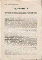 1946-47 Csehszlovák-magyar Lakosságcsere A Felvidéken. Kitelepített Család Dokumentumai. 9 Db. - Unclassified