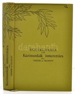 Thérése De Dillmont: Enczyklopaedia:a N?i Kézimunkák Ismerettára. Fordította: Székelyné Krengel Irma. Dornach,é.n.[1897] - Zonder Classificatie