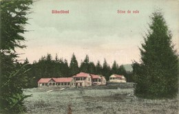 T2 Biharfüred, Stina De Vale; Nyaralók / Villas - Unclassified