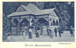 T2 1906 Bikszád-fürd?, Baile Bixad; Forrás Pavilon / Spring Pavilion - Non Classificati