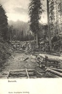 ** T1/T2 Borszék, Borsec; Fakitermelés Az Erd?ben, F?résztelep. Heiter Fényképész / Logging Near The Sawmill - Unclassified