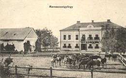 ** T2 Marosszentgyörgy, Sangeorgiu De Mures; Máriaffi Lajos Kastélya A Ménessel / Castle With Horse Stud - Non Classificati