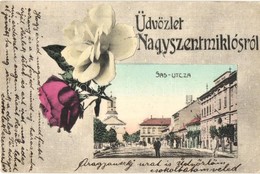 T2/T3 Nagyszentmiklós, Sannicolau Mare; Sas Utca. Rózsás Keret / Street View. Art Nouveau Rose Frame (EK) - Non Classificati