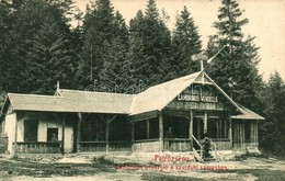 T2/T3 Petrozsény, Petrosani; Gambrinus Vendégl? A Szurduki Szorosban. W.L. Bp. 1695. / Restaurant In The Gorge (EK) - Unclassified