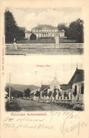 T2 1903 Soborsin, Savarsin; Gróf Hunyady Kastély, Seidner Villa Utcaképpel. Ifj. Roth Bernát Kiadása / Villa And Castle, - Unclassified