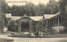 T2 1907 Hársfalva-gyógyfürd? (Szolyva), Nelipino; Stefánia-gyógyforrás és Fedett Sétatér / Mineral Spring, Colonnade - Zonder Classificatie