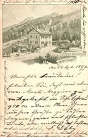 T2 1897 (Vorläufer!) Ucka, Monte Maggiore; Kronprinzessin Stefanie Schutzhaus / Dom Stefanije / Rest House. Floral - Ohne Zuordnung