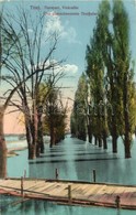 T2 Titel, Tisza Part, Vízáradás. Kiadja Szuboticski Szimó / Das überschwemmte Theissufer / Flood - Non Classificati