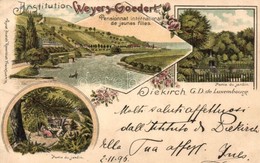 T2 1896 (Vorläufer!) Diekirch (Luxembourg); Partie Du Jardin, Institution Weyers-Goedert Pensionnat International De Jeu - Ohne Zuordnung
