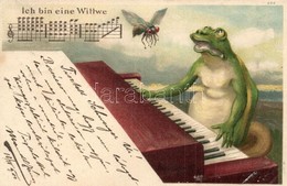 T2/T3 1900 Ich Bin Eine Wittwe / Frog Playing On The Piano With Fly. Litho (EK) - Ohne Zuordnung