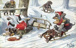 T2 1912 Sledding Dachshund Dogs In Winter. T.S.N. Serie 1195. S: Arthur Thiele - Ohne Zuordnung