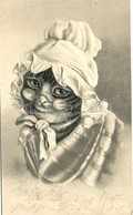 T2 Cat With Glasses. Emb. Litho - Unclassified